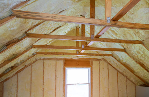 Best Cellulose Insulation  in Findlay, OH